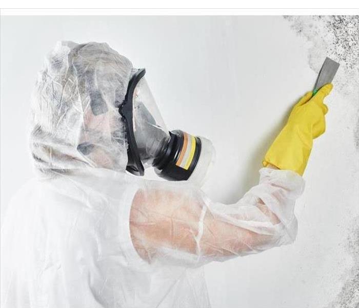 A professional disinfector in overalls processes the walls from mold with a spatula. 