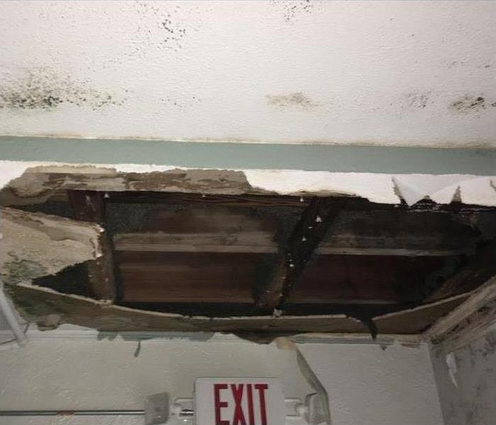 Hole on ceiling, pipes cause damage to ceiling, mold growth found on ceiling hole